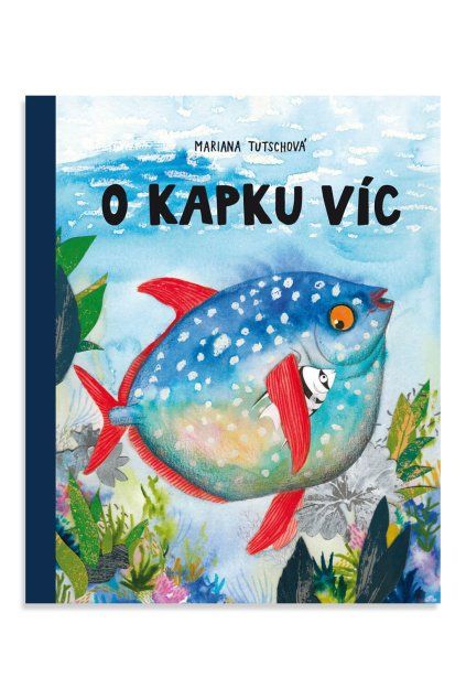 o kapku